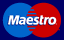 Maestro Acceptance Logo